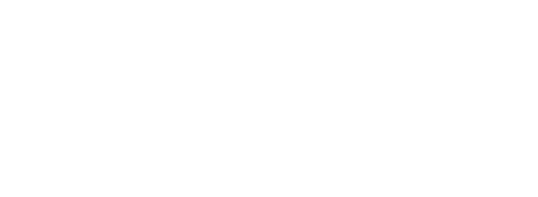 ACE WHITE LOGO